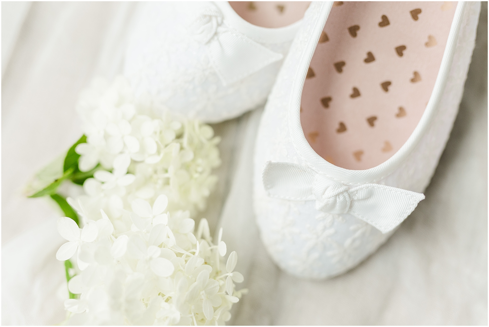 LL0004.jpg LL0004.jpg