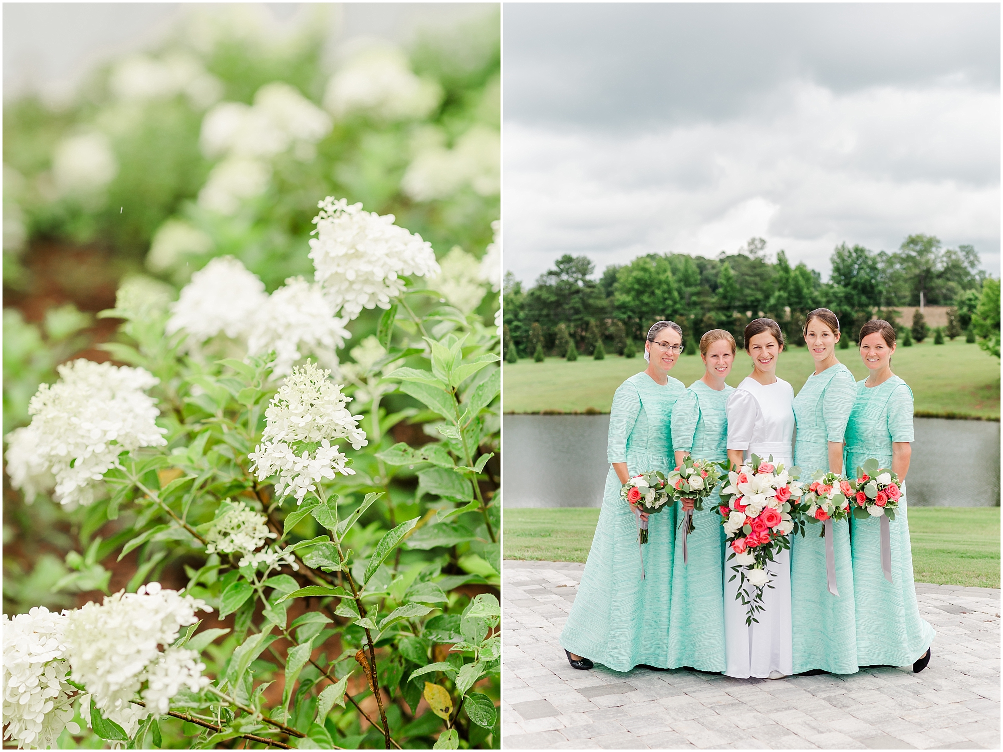 LL0091.jpg LL0091.jpg