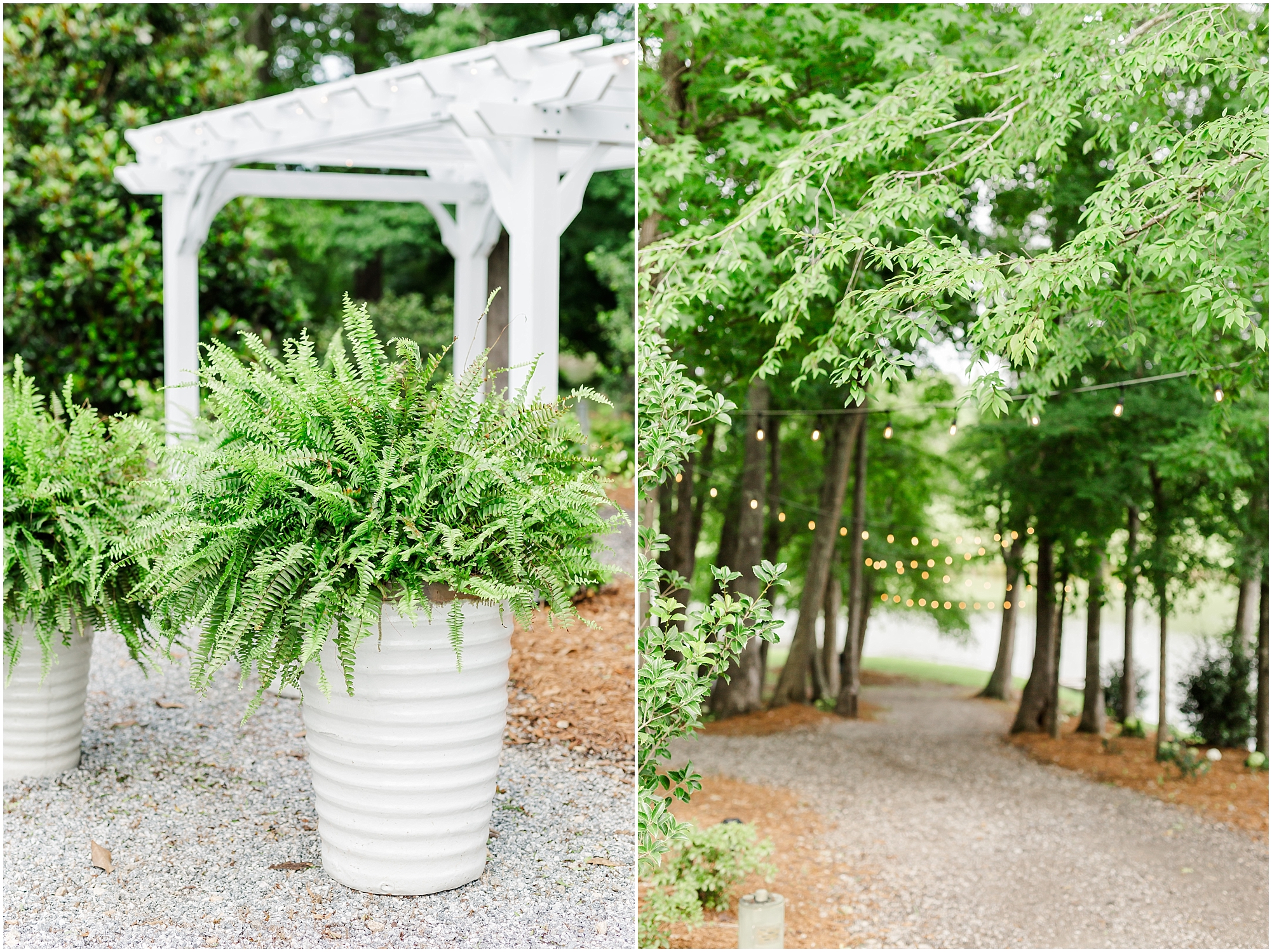 LL0125.jpg LL0125.jpg