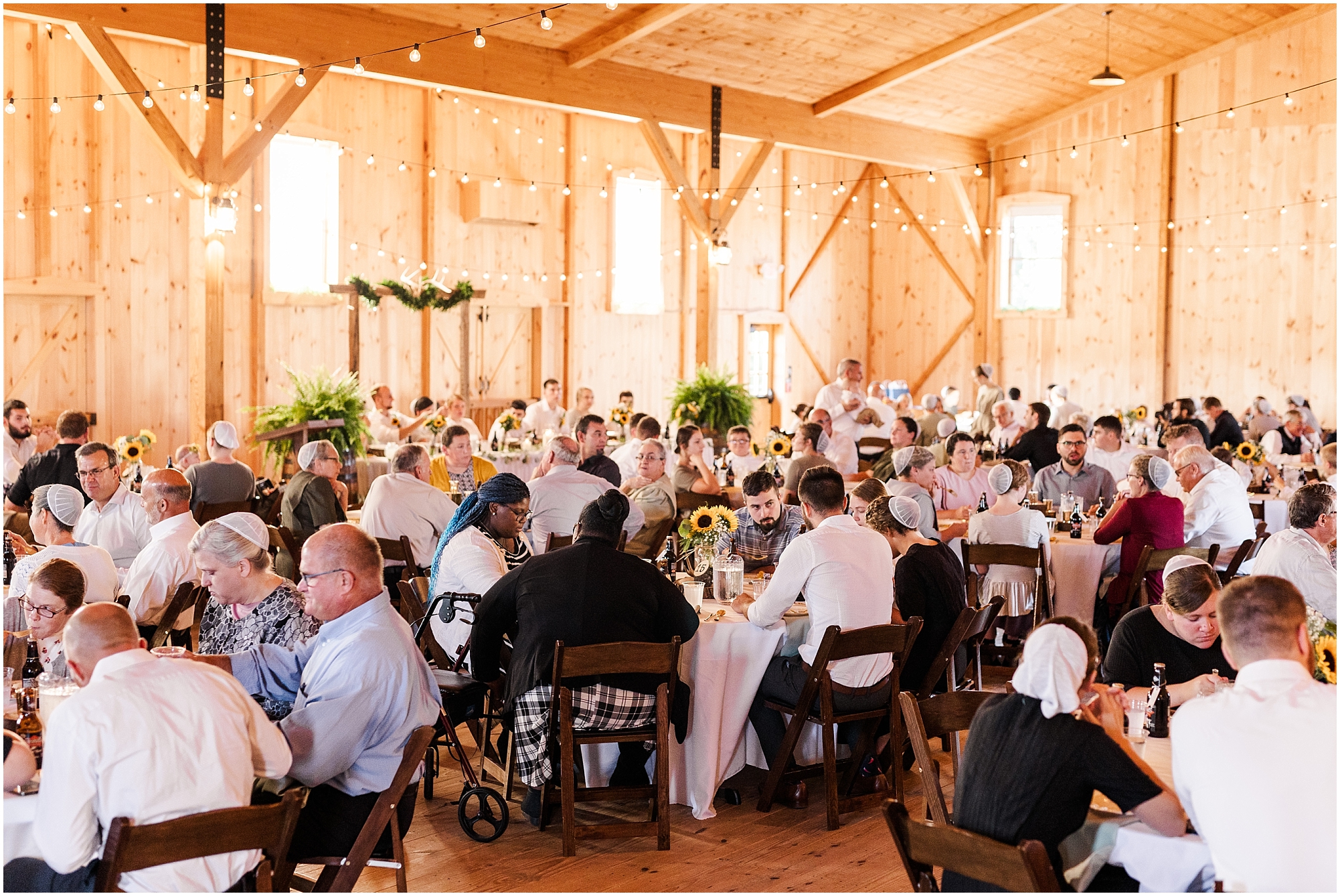 SA0141.jpg SA0141.jpg