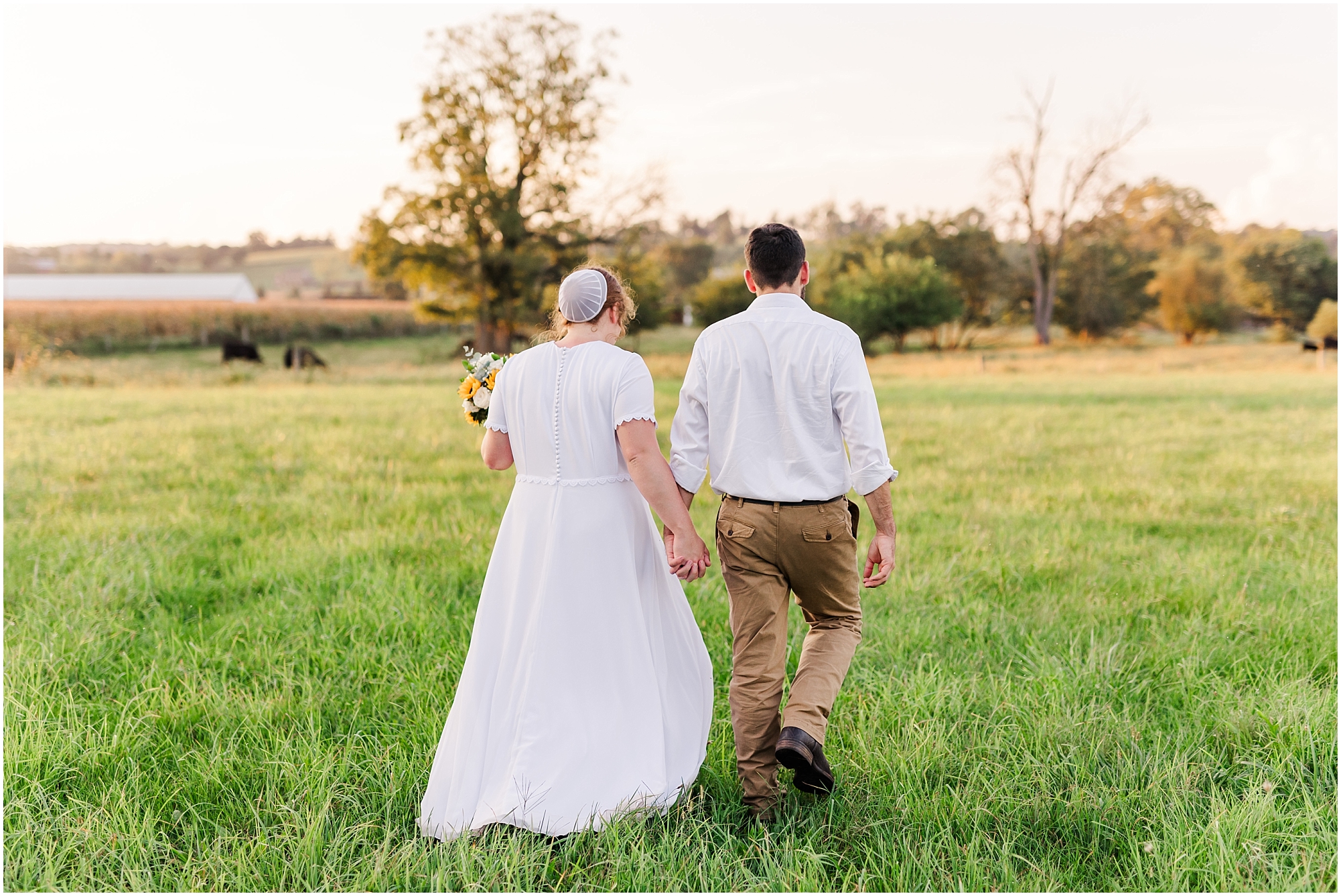 SA0170.jpg SA0170.jpg