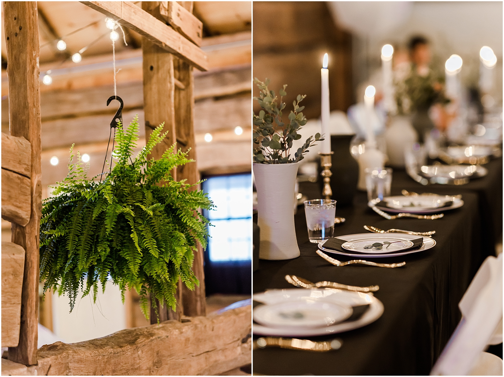 JK0121.jpg JK0121.jpg