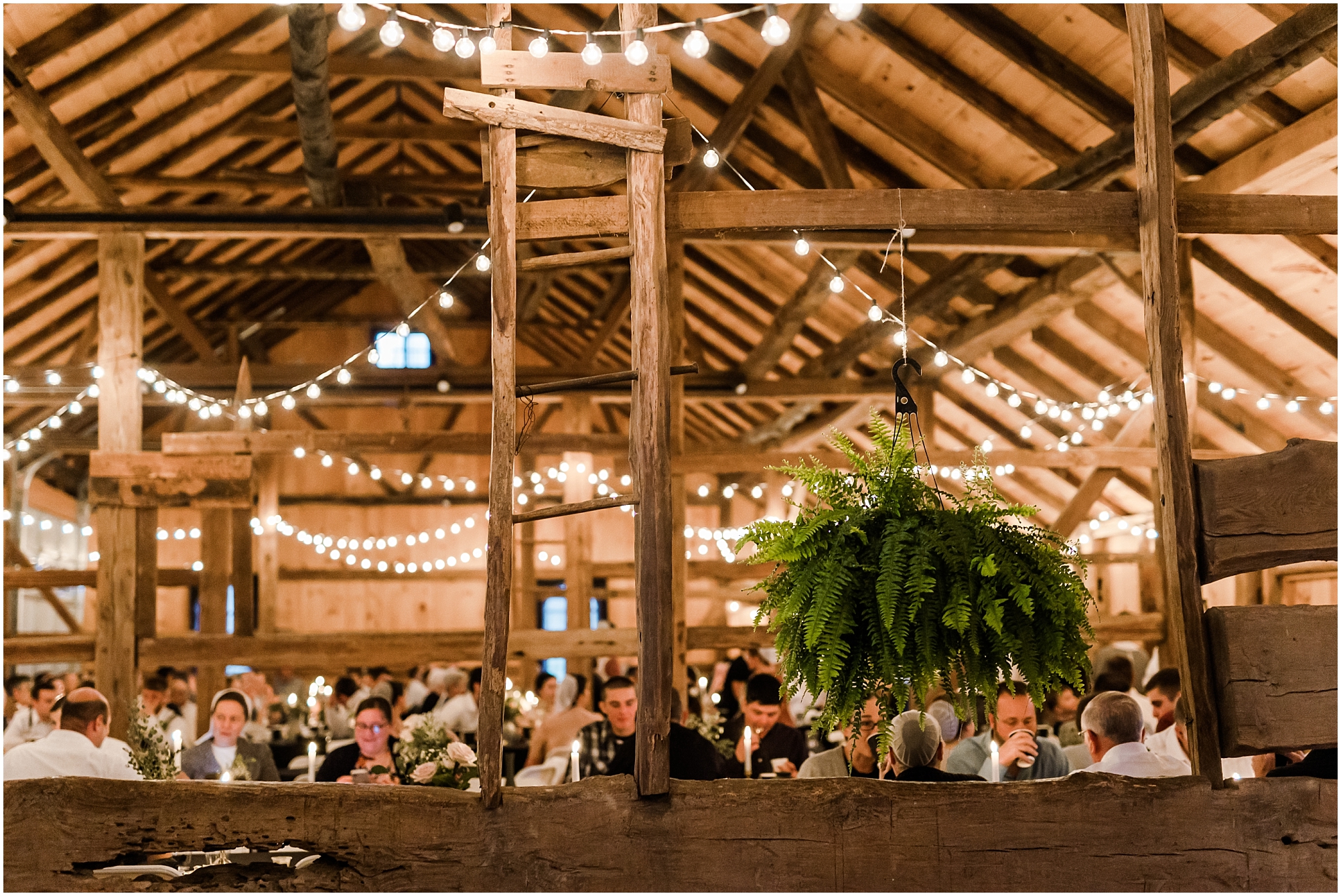 JK0151.jpg JK0151.jpg