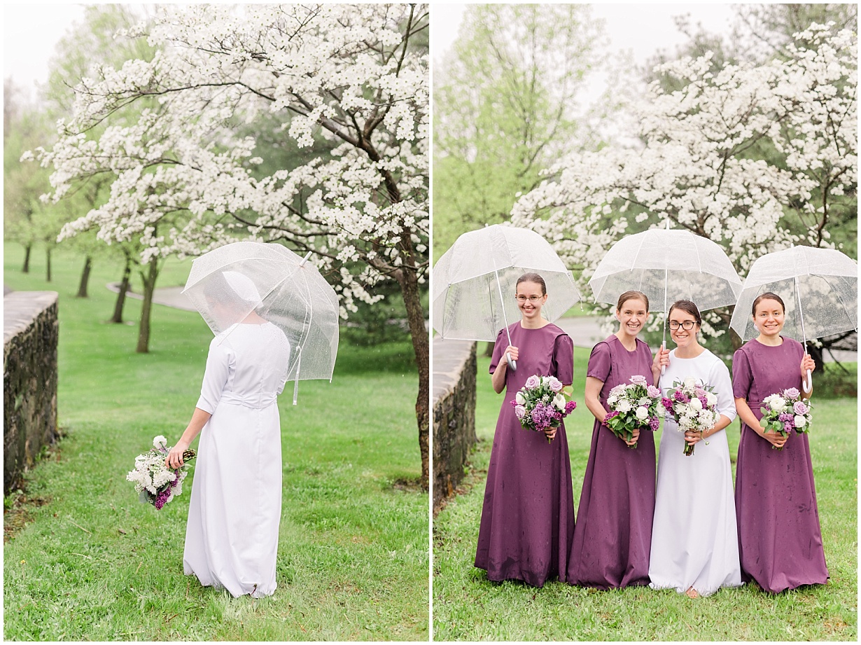 CK0034.jpg CK0034.jpg