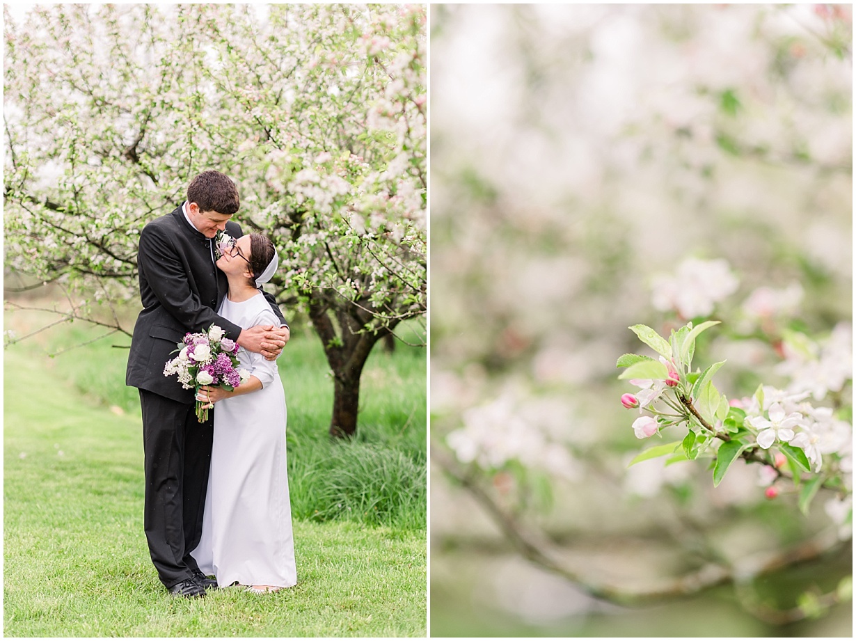 CK0113.jpg CK0113.jpg