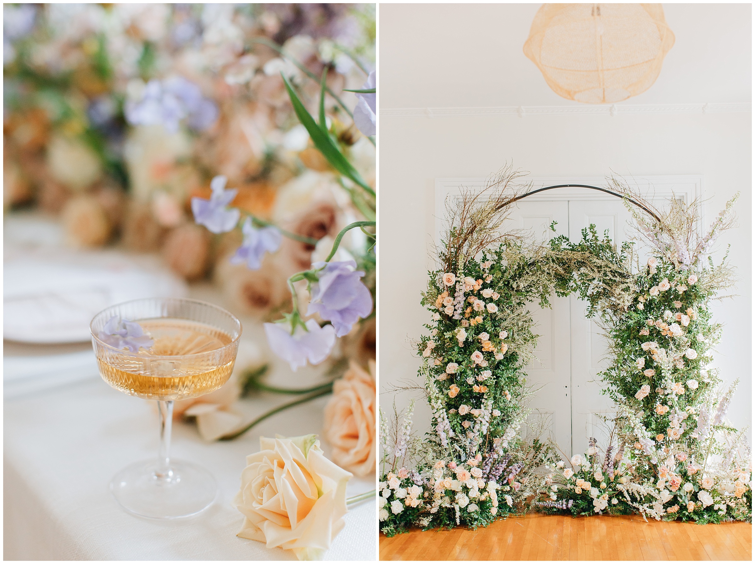 HFI009.JPG HFI009.JPG